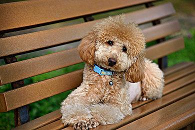 《雪地奔驰》通过今天发布的公共能源扩展包恢复电力供应